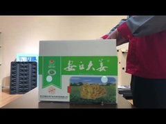 PP-Hohlplatten-Gemüseboxen