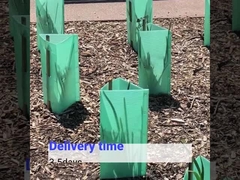 Baumschutz aus Kunststoff