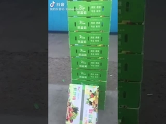 Obst- und Gemüseboxen