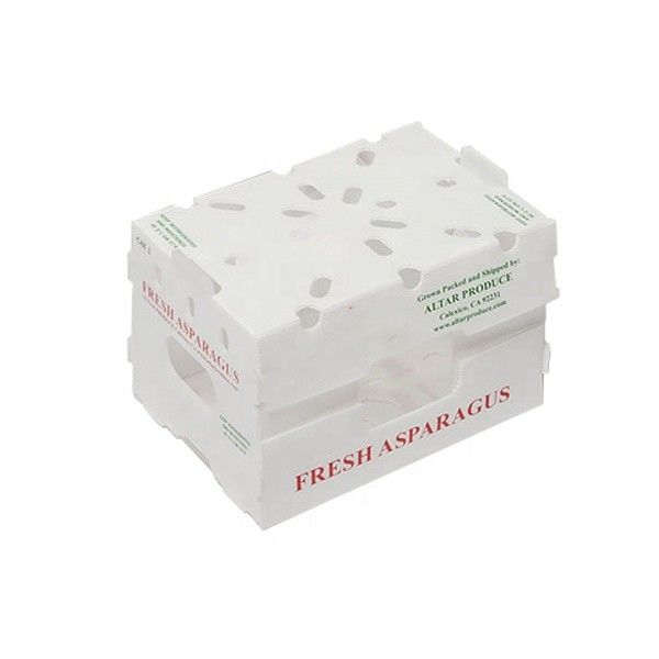 Anpassen Sie umweltfreundliche Wellpappe-Plastikbox für Brokkoli und Maisbox Correx Mais Brokkoli und Landwirtschaft Verpackung