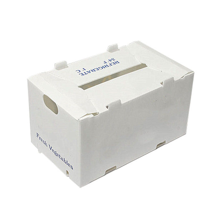 Correx Fruchtbox PP Wellstoffbox für Gemüse und Landwirtschaft Verpackungskiste