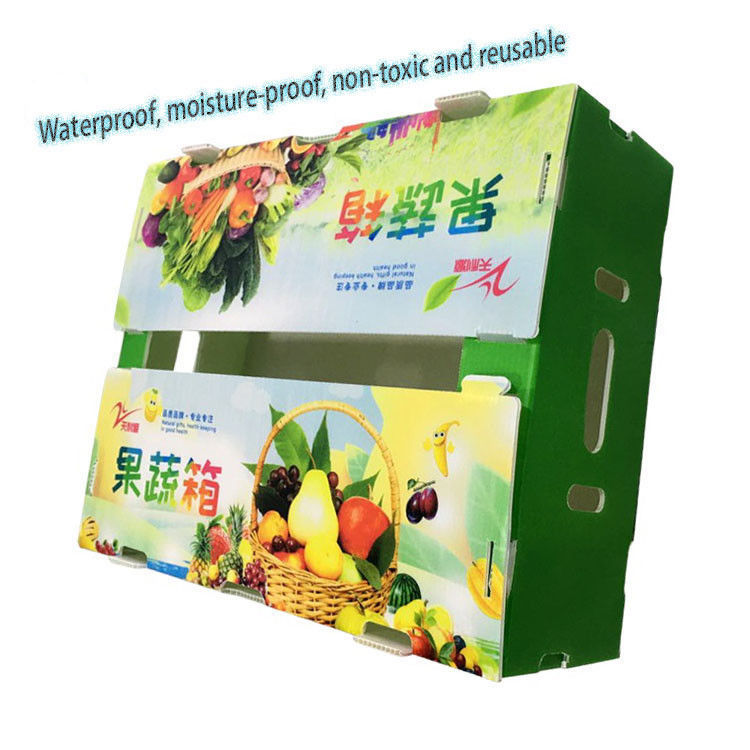 Foldable Fabrik Lieferung recycelte Falte PP gewölbte Coroplast Kunststoff Obst-Gemüse-Box