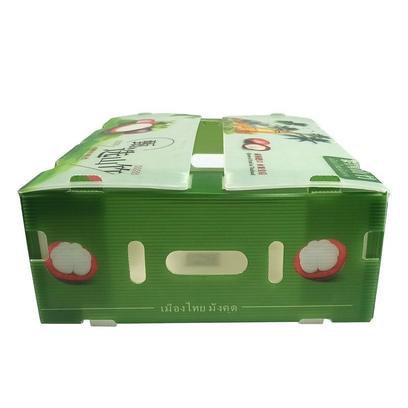 Foldable Fabrik Lieferung recycelte Falte PP gewölbte Coroplast Kunststoff Obst-Gemüse-Box