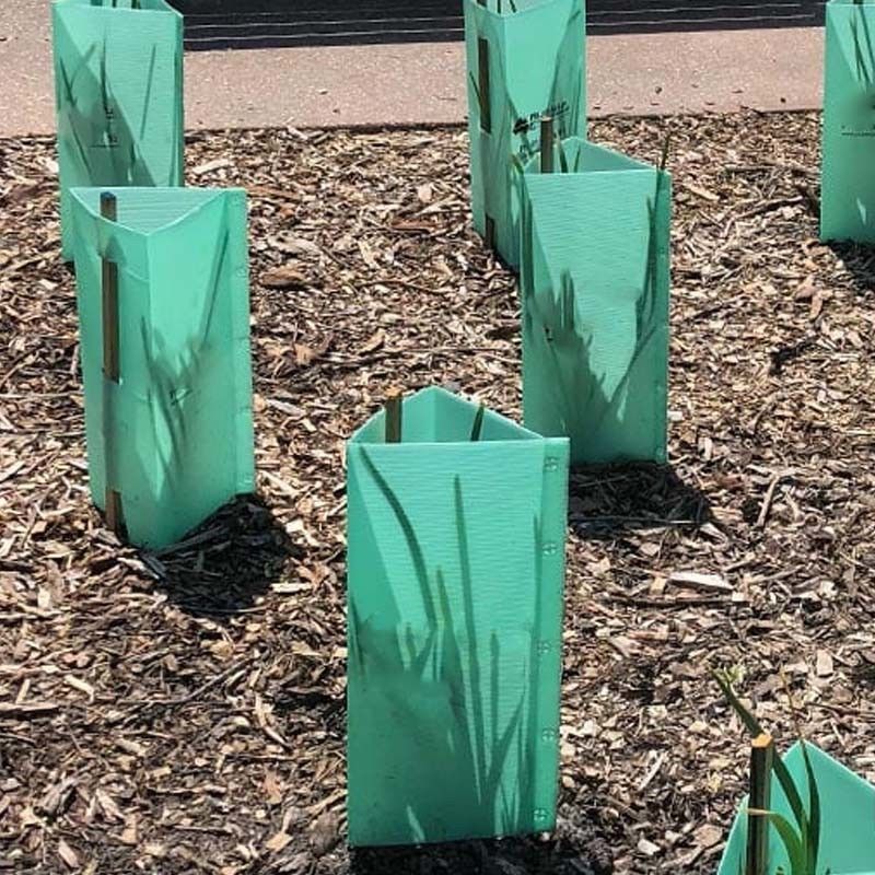1.5mm pp. Corflute Baum-Schutz-Green Plastic Tree-Stamm-Schutze