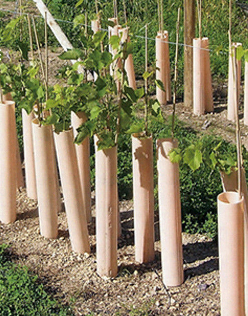 1.5mm pp. Corflute Baum-Schutz-Green Plastic Tree-Stamm-Schutze