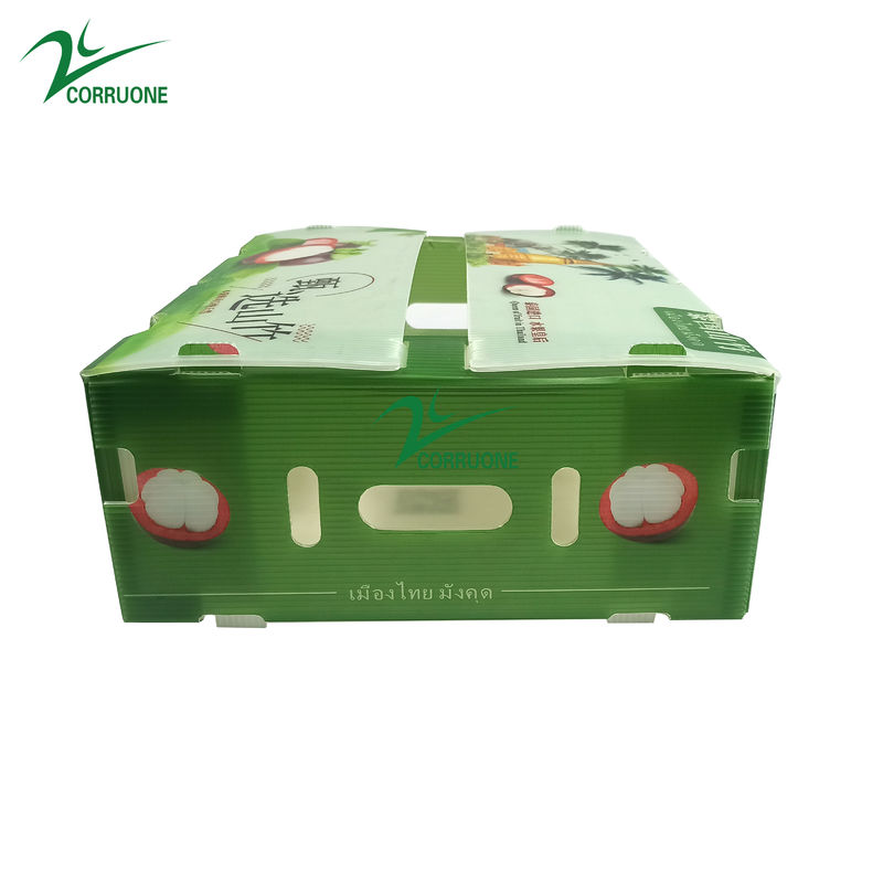 Corruone Klappbare PP Wellpappe aus Kunststoff Danpla Box Polypropylen Kunststoffblech Kisten Wellpappe Lagerbox