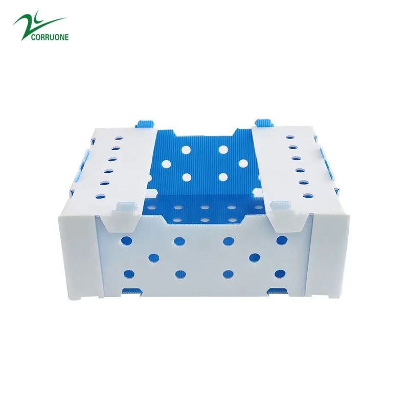 1.5mm-30mm pp. runzelte Kunststoffgehäuse-Kasten-weißes grün-blaues
