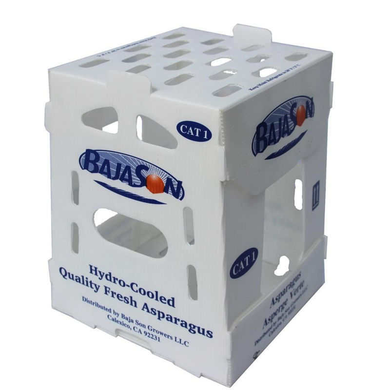 5mm 6mm Correx pp. Plastikkästen für Obst und Gemüse