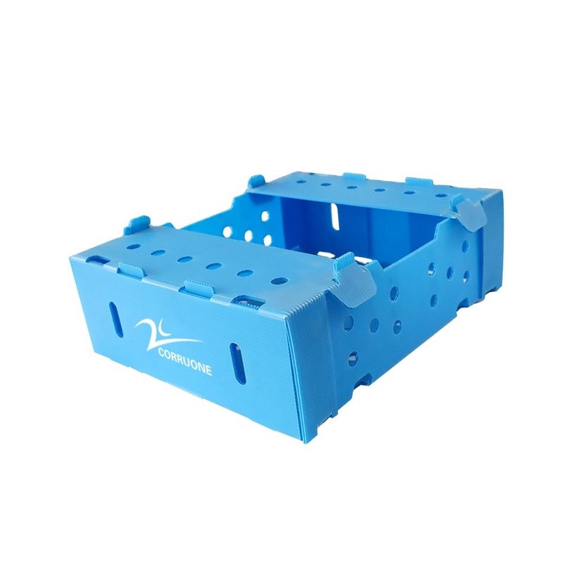 5mm 6mm Correx pp. Plastikkästen für Obst und Gemüse