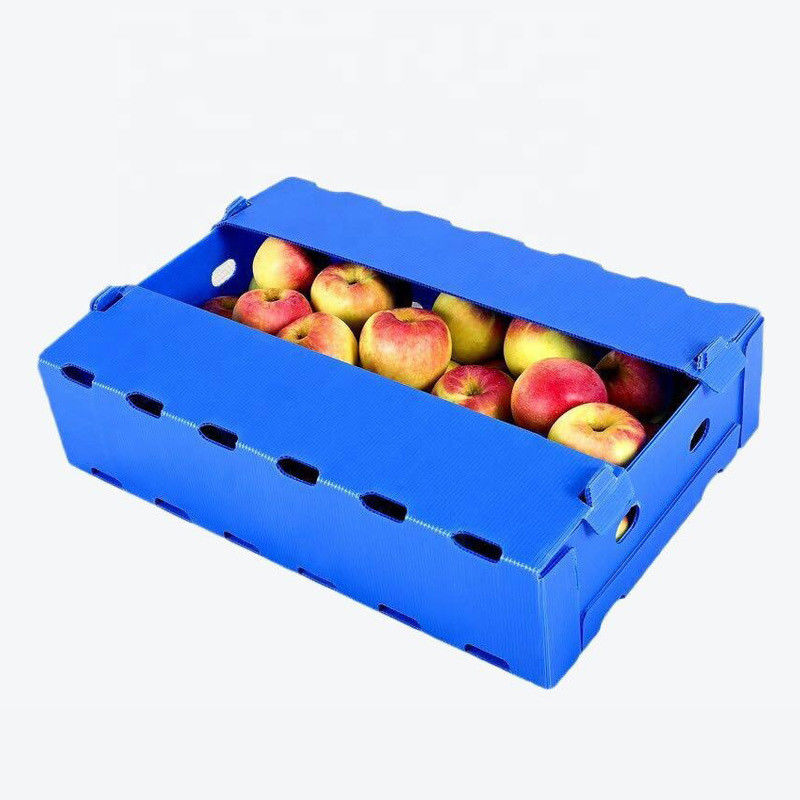 5mm 6mm Correx pp. Plastikkästen für Obst und Gemüse