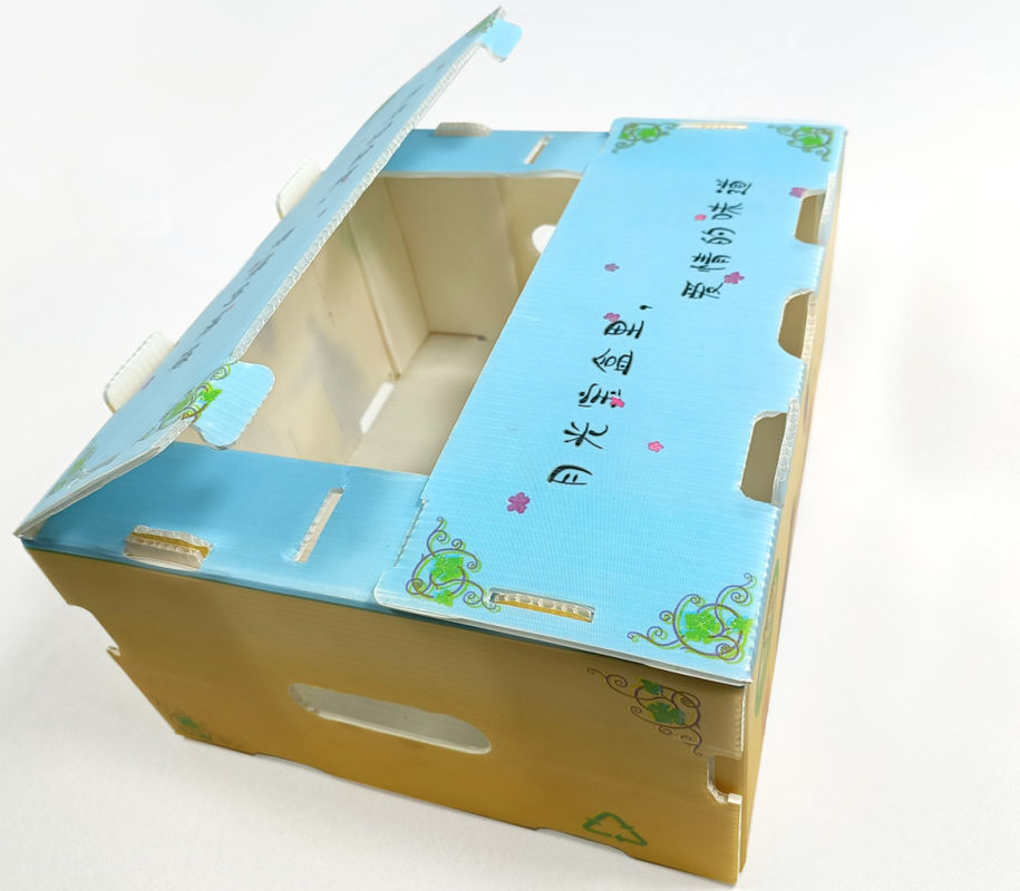 Spinat runzelte Plastikerzeugnis einpackt 2mm Corflute Magazine