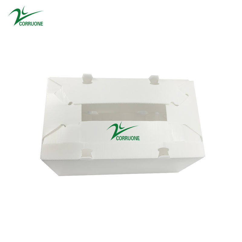 Spinat runzelte Plastikerzeugnis einpackt 2mm Corflute Magazine