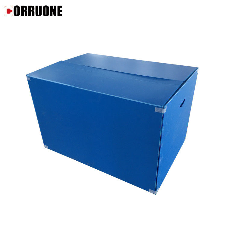 Wasserdichtes Correx pp. runzelte starke Corflute Magazine des Kasten-12mm