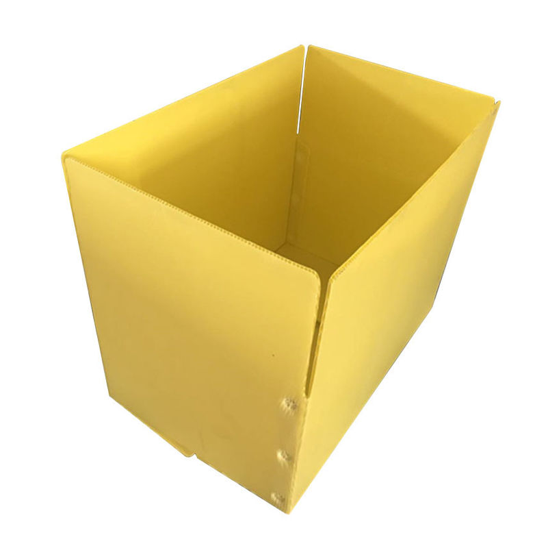 Gelber Spargel Correx pp. runzelte Magazine des Kasten-3.5mm Corflute