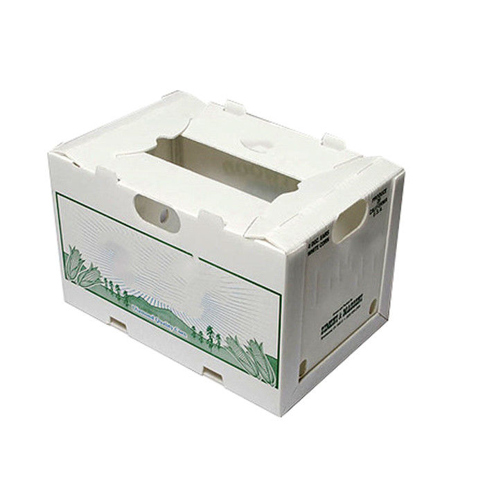 3.5mm Mais runzelte bewegliche Plastikkästen Matt Lamination Printing