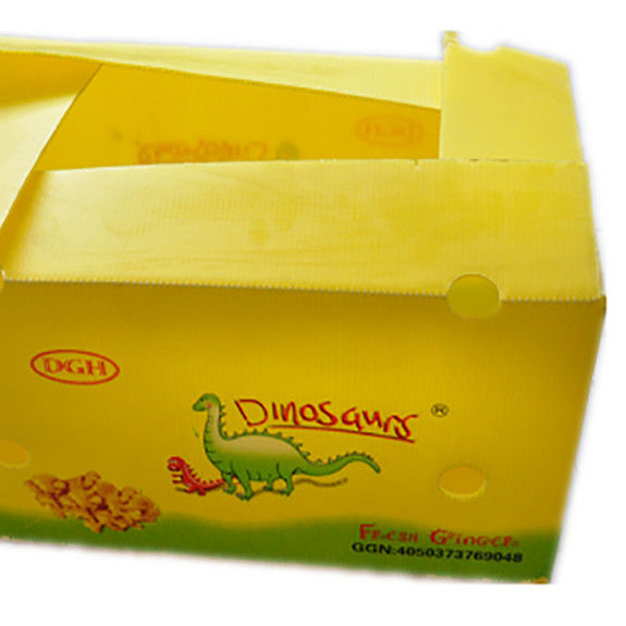 Verpackung von Obst und Gemüse PP KartonPlast Trauben Verpackungskisten Plastik Brokkoli-Kisten Wellpappe