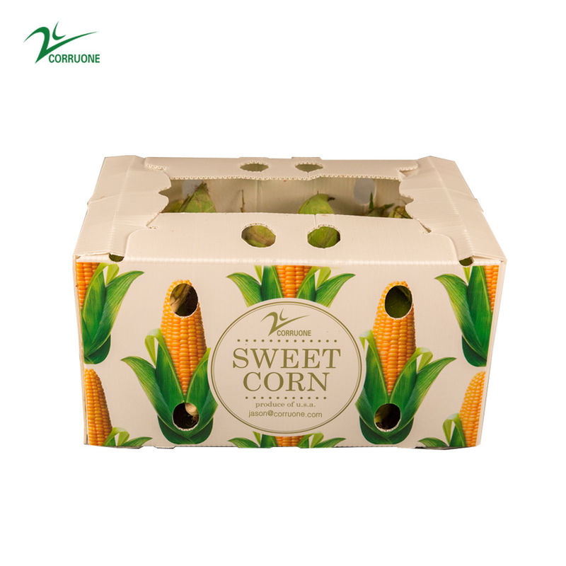 Corruone Wasserdichte Falte Polypropylen Wellstoff Obst Gemüse Spargel/Ingwer/Taro/Okra Verpackungskiste
