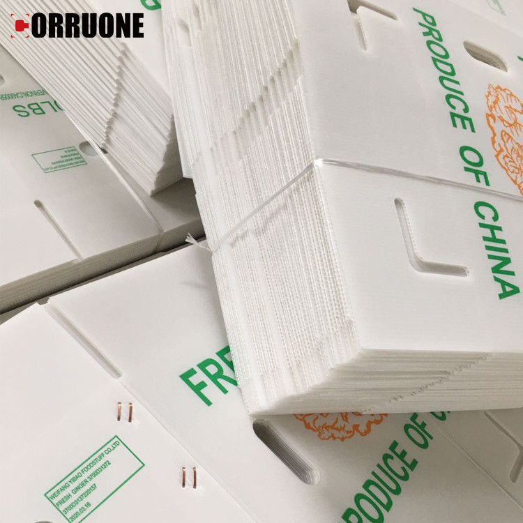 Verpackung von Obst und Gemüse PP KartonPlast Trauben Verpackungskisten Plastik Brokkoli-Kisten Wellpappe