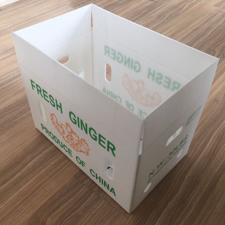 Verpackung von Obst und Gemüse PP KartonPlast Trauben Verpackungskisten Plastik Brokkoli-Kisten Wellpappe