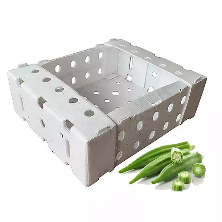 Corruone China Hersteller PP-Polypropylen Material Correx Coreflute Boxen Wellstoff Klappstoff Obst und Gemüse Boxen