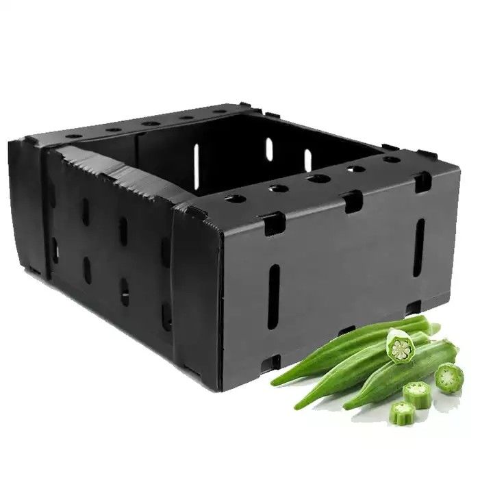 Corruone China Hersteller PP-Polypropylen Material Correx Coreflute Boxen Wellstoff Klappstoff Obst und Gemüse Boxen