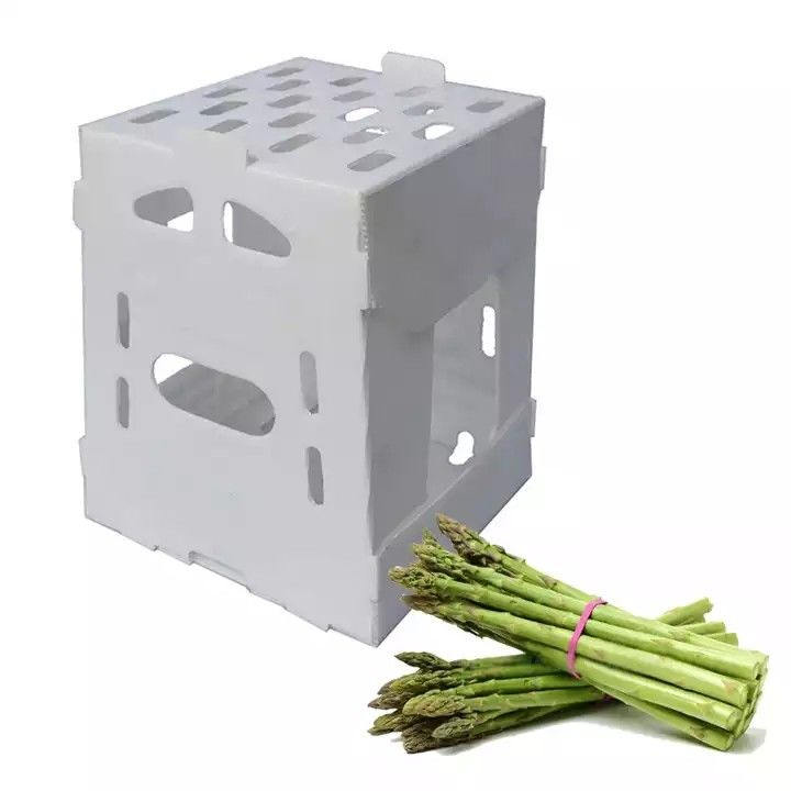 Corruone China Hersteller PP-Polypropylen Material Correx Coreflute Boxen Wellstoff Klappstoff Obst und Gemüse Boxen