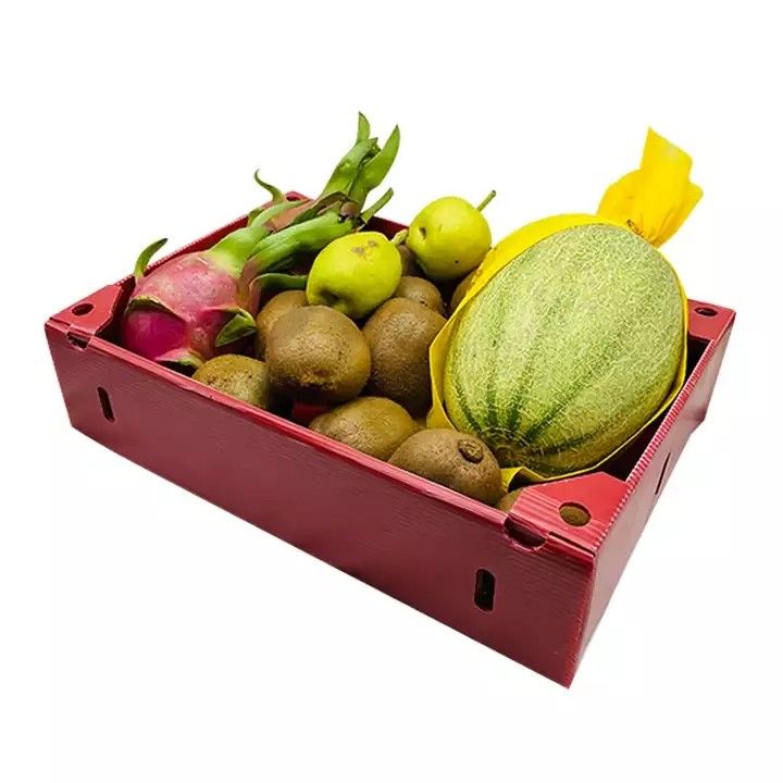 Corruone China Hersteller PP-Polypropylen Material Correx Coreflute Boxen Wellstoff Klappstoff Obst und Gemüse Boxen