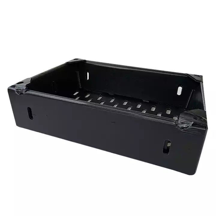 Corruone China Hersteller PP-Polypropylen Material Correx Coreflute Boxen Wellstoff Klappstoff Obst und Gemüse Boxen