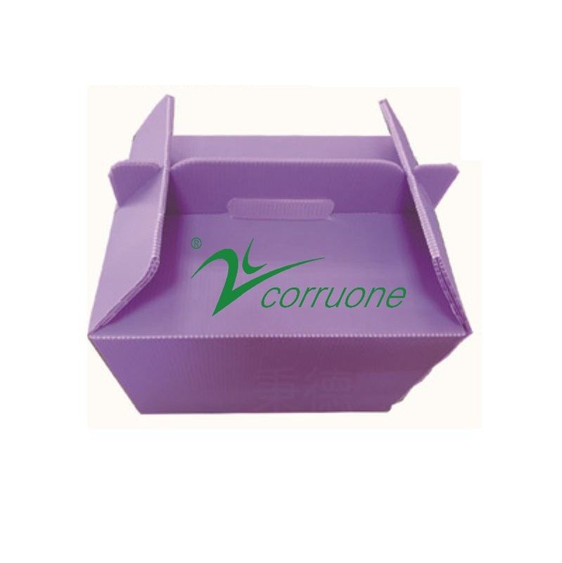 Corruone PP Polypropylen correx Klappkarton Frisches Gemüse und Obst