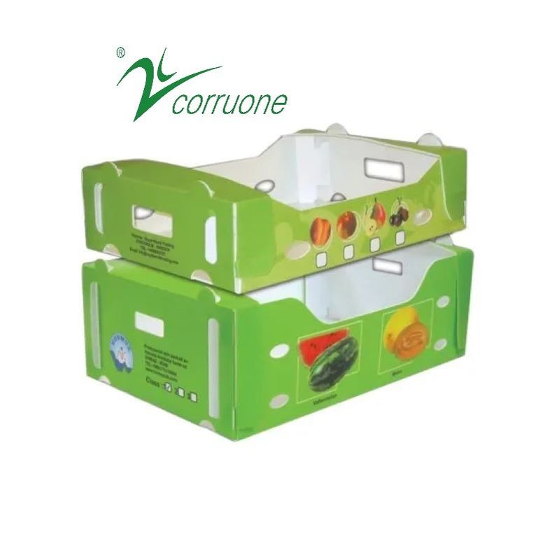 Corruone PP-Polypropylen und Plastikboxen Correx Schutzplatten Polyflutbleche Wellstoffverpackungen aus Kunststoff