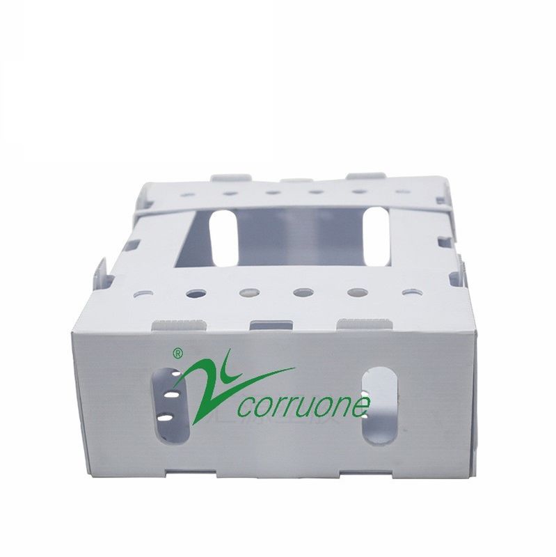 Corruone PP-Polypropylen und Plastikboxen Correx Schutzplatten Polyflutbleche Wellstoffverpackungen aus Kunststoff