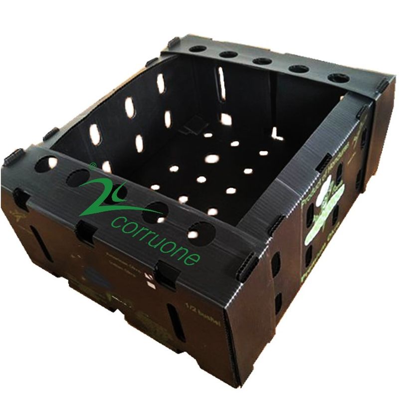 Corruone PP-Polypropylen und Plastikboxen Correx Schutzplatten Polyflutbleche Wellstoffverpackungen aus Kunststoff