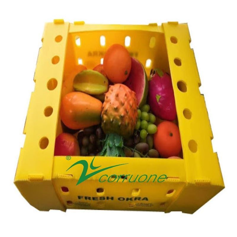 Corruone wasserdicht Obst-Gemüse Verpackung PP KartonPlast Trauben Verpackungskisten Kunststoff Brokkoli-Kisten Wellfarben Ginger Box