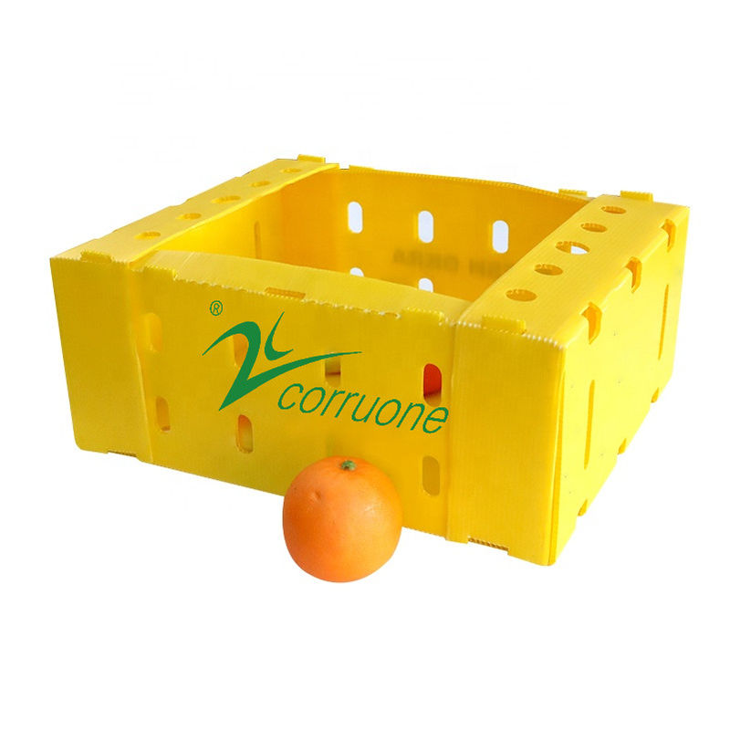 Meeresfrüchte-Lieferungs-Kasten Corflute pp. blaue Coroplast-Magazine