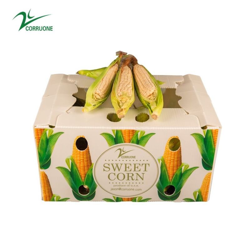 Zuckermais-Frucht runzelte Verpackenkästen Kasten-Banane Correx