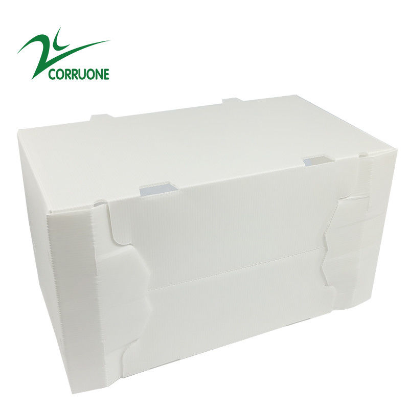 Zuckermais-Frucht runzelte Verpackenkästen Kasten-Banane Correx