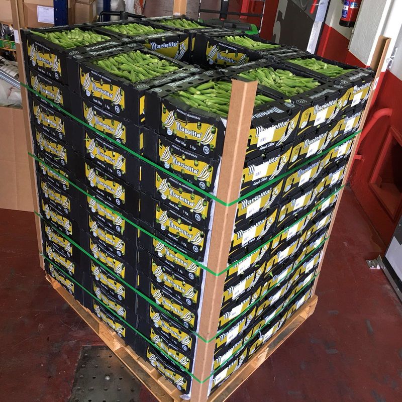 Großhandel auf Maß gedruckte klappbare, transparente, golfförmige, quadratische Verpackungen, Fruchtkartons mit Deckel