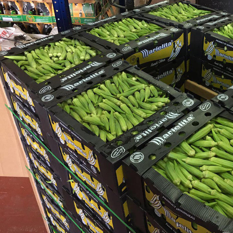 Frucht Corflute-essbaren Eibisches runzelte gewölbten Kunststoffkoffer der Kasten-pp.