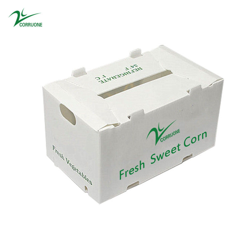 Correx Fruchtbox PP Wellstoffbox für Gemüse und Landwirtschaft Verpackungskiste