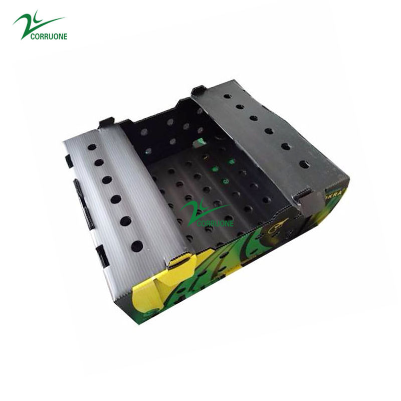 kasten-Mango Coroplast-Magazine 6mm 8mm Spargel Correx Verpacken