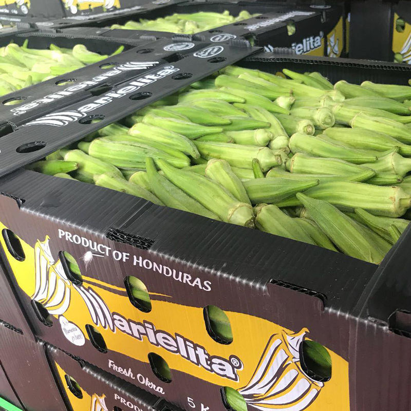 kasten-Mango Coroplast-Magazine 6mm 8mm Spargel Correx Verpacken