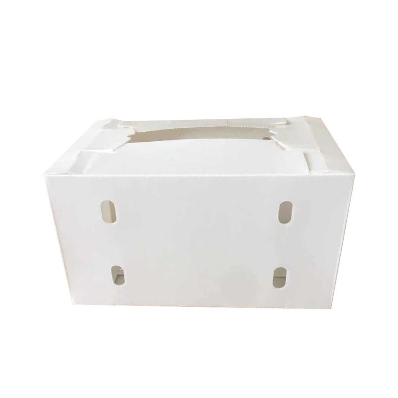 Klappbare, wasserdichte, geflutete Polypropylen-Correx-Speicherbox PP, Frischobstverpackung, Lieferbox