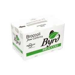 Klappbare, wasserdichte, geflutete Polypropylen-Correx-Speicherbox PP, Frischobstverpackung, Lieferbox