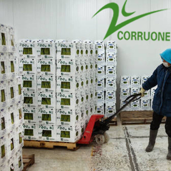 Hochleistungs-Fruchtgewölbte Kisten für optimale Verpackungen für die Landwirtschaft