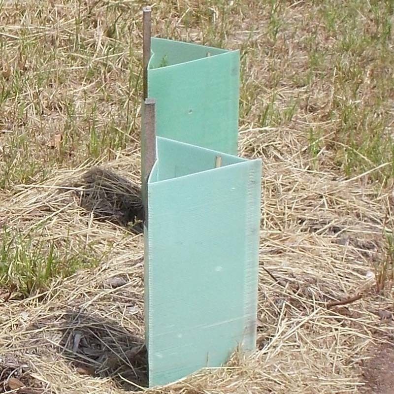 Pp. runzelten Plastikbaum-Schutz-Corflute Plastic Tree-Stamm-Schutze