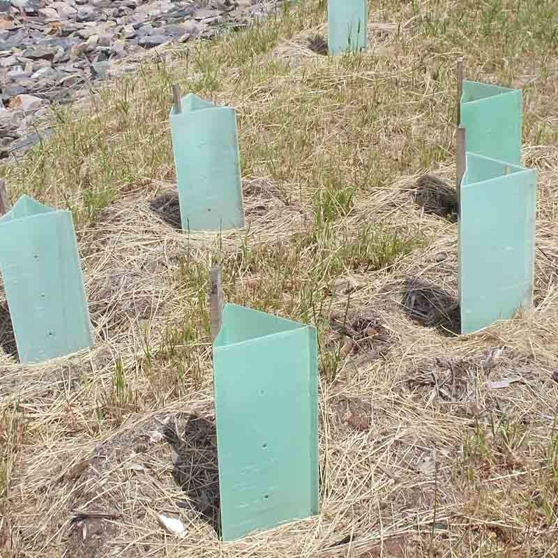 Pp. runzelten Plastikbaum-Schutz-Corflute Plastic Tree-Stamm-Schutze