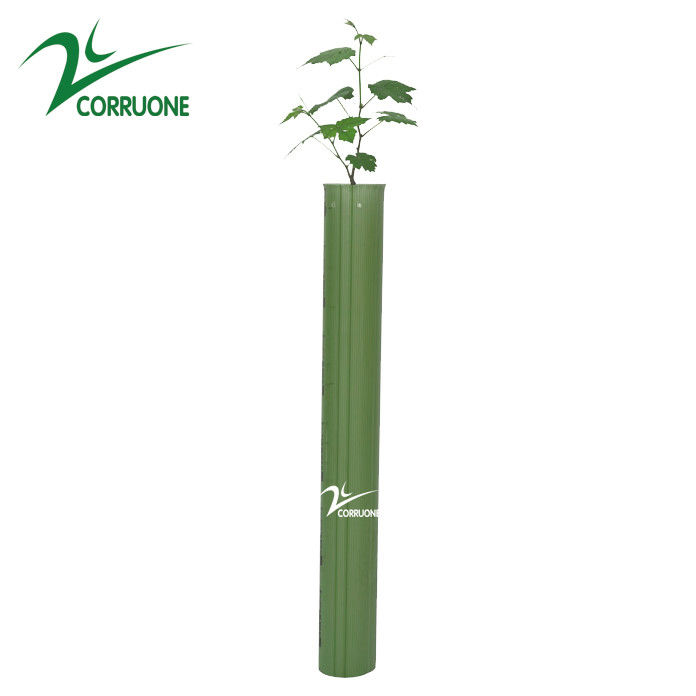 UV-BEHANDELTer gewölbter Betriebsschutz des Baum-Schutz-3mm pp. Corflute