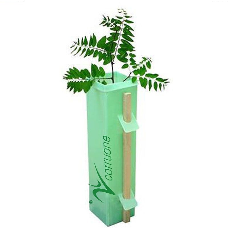 UV-BEHANDELTer gewölbter Betriebsschutz des Baum-Schutz-3mm pp. Corflute