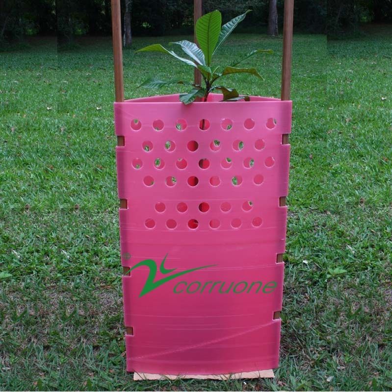 Plastikbaum 100% rotes PET Corflute schützt beständige UV2mm-12mm