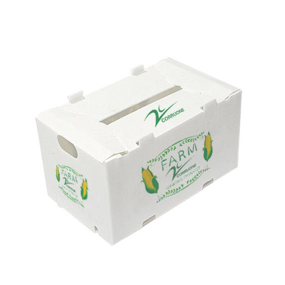 Corruone Wasserdichte Falte Polypropylen Wellstoff Obst Gemüse Spargel/Ingwer/Taro/Okra Verpackungskiste